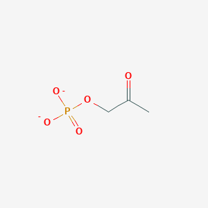 molecular formula C3H5O5P-2 B1256412 Hydroxyacetone phosphate(2-) 