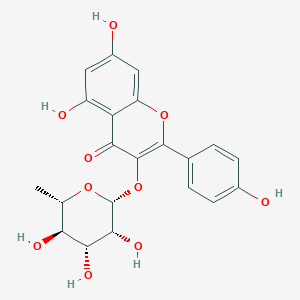 kaempferol-3-O-alpha-L-rhamnoside