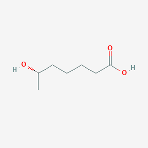 molecular formula C7H14O3 B1256558 (6S)-6-hydroxyheptanoic acid 
