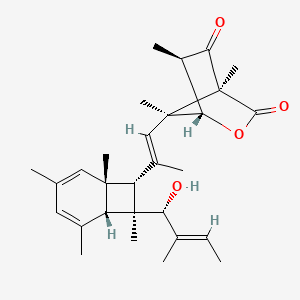 molecular formula C29H40O4 B1256567 Shimalactone B 