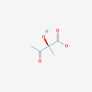 molecular formula C5H7O4- B1256585 (2S)-2-hydroxy-2-methyl-3-oxobutanoate 