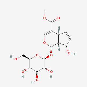 molecular formula C16H22O10 B1256880 Citrifoside 