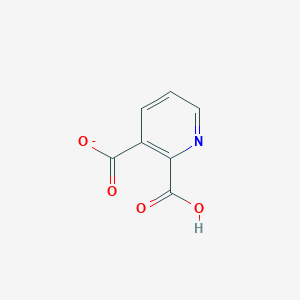 molecular formula C7H4NO4- B1256887 2-Carboxypyridine-3-carboxylate 