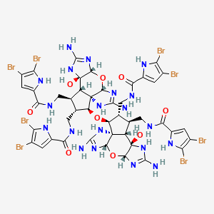 molecular formula C44H46Br8N20O9 B1256919 4,5-dibromo-N-[[(1S,2S,3S,4R,5S,6R,10R,12S)-8,14-diamino-2-[[(1S,2S,3S,4R,5S,6R,10R,12S)-8,14-diamino-3,4-bis[[(4,5-dibromo-1H-pyrrole-2-carbonyl)amino]methyl]-6-hydroxy-11-oxa-7,9,13,15-tetrazatetracyclo[10.3.0.01,5.06,10]pentadeca-8,13-dien-2-yl]oxy]-3-[[(4,5-dibromo-1H-pyrrole-2-carbonyl)amino]methyl]-6-hydroxy-11-oxa-7,9,13,15-tetrazatetracyclo[10.3.0.01,5.06,10]pentadeca-8,13-dien-4-yl]methyl]-1H-pyrrole-2-carboxamide 