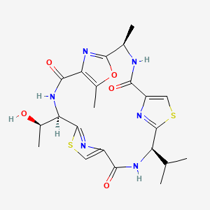 molecular formula C22H26N6O5S2 B1256922 Venturamide B 