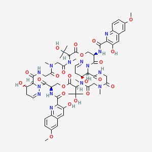 molecular formula C60H74N14O22 B1256992 Luzopeptin C 