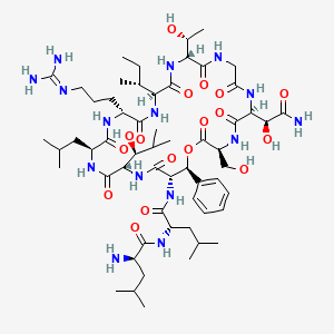 molecular formula C58H97N15O17 B1257027 (2R)-2-amino-N-[(2S)-1-[[(3S,6S,12R,15S,18R,21S,24S,27S,28S)-6-[(1S)-2-amino-1-hydroxy-2-oxoethyl]-15-[(2R)-butan-2-yl]-18-[3-(diaminomethylideneamino)propyl]-12-[(1R)-1-hydroxyethyl]-3-(hydroxymethyl)-24-[(1S)-1-hydroxy-2-methylpropyl]-21-(2-methylpropyl)-2,5,8,11,14,17,20,23,26-nonaoxo-28-phenyl-1-oxa-4,7,10,13,16,19,22,25-octazacyclooctacos-27-yl]amino]-4-methyl-1-oxopentan-2-yl]-4-methylpentanamide 