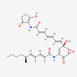 molecular formula C31H38N2O7 B1257053 (2E,4E,6S)-N-[(1S,5R,6R)-5-hydroxy-5-[(1E,3E,5E)-7-[(2-hydroxy-5-oxocyclopenten-1-yl)amino]-7-oxohepta-1,3,5-trienyl]-2-oxo-7-oxabicyclo[4.1.0]hept-3-en-3-yl]-2,4,6-trimethyldeca-2,4-dienamide 