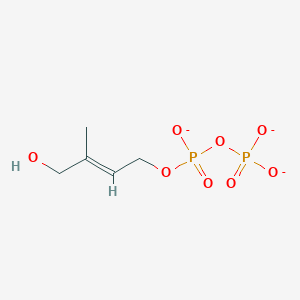 molecular formula C5H9O8P2-3 B1257088 (2E)-4-hydroxy-3-methylbut-2-enyl diphosphate 