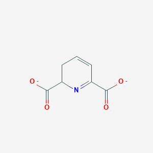 molecular formula C7H5NO4-2 B1257096 2,3-Dihydrodipicolinate(2-) 