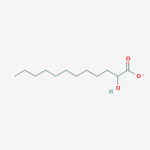 molecular formula C12H23O3- B1257098 2-Hydroxydodecanoate 