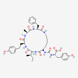 Oscillamide Y