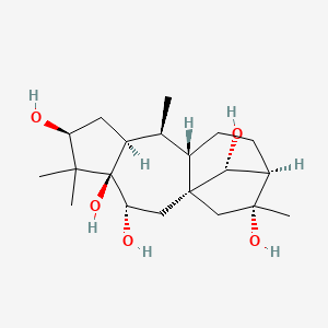 molecular formula C20H34O5 B1257443 Grayanotoxin 
