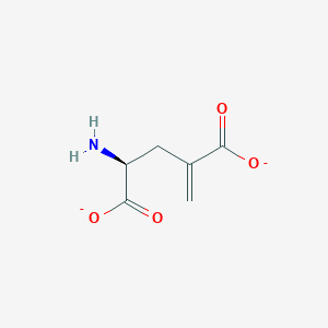 molecular formula C6H7NO4-2 B1257445 4-methylene-L-glutamate(2-) 