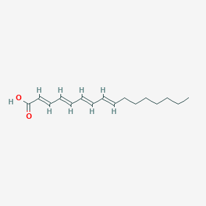 molecular formula C16H24O2 B1257536 Hexadecatetraenoic acid 