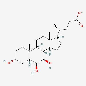 molecular formula C24H39O5- B1257651 beta-Muricholate 