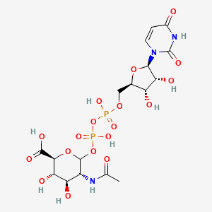 molecular formula C17H25N3O18P2 B1257666 UDP-N-acetyl-2-amino-2-deoxy-D-glucuronic acid 