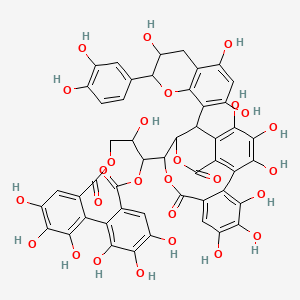 Camelliatannin A