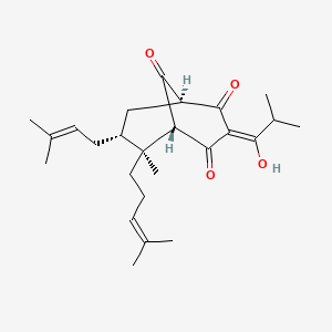 molecular formula C25H36O4 B1257727 Hyperatomarin 