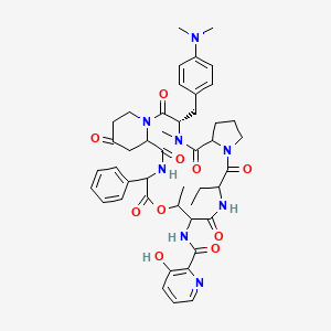 molecular formula C45H54N8O10 B1257733 N-[(3S)-3-[[4-(dimethylamino)phenyl]methyl]-12-ethyl-4,16-dimethyl-2,5,11,14,18,21,24-heptaoxo-19-phenyl-17-oxa-1,4,10,13,20-pentazatricyclo[20.4.0.06,10]hexacosan-15-yl]-3-hydroxypyridine-2-carboxamide 