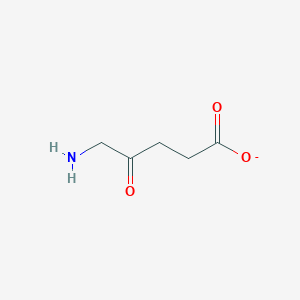 molecular formula C5H8NO3- B1257902 5-amino-4-oxopentanoate 
