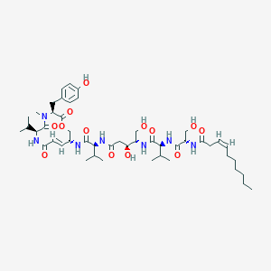 molecular formula C48H75N7O13 B1257916 Thalassospiramide A 