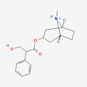 molecular formula C17H24NO3+ B1257961 Atropinium 