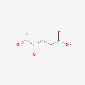 molecular formula C5H5O4- B1258115 4,5-Dioxopentanoate 