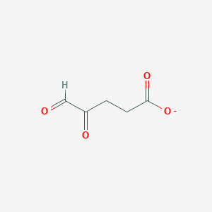 4,5-Dioxopentanoate