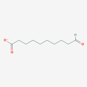 molecular formula C10H17O3- B1258232 10-Oxocaprate 