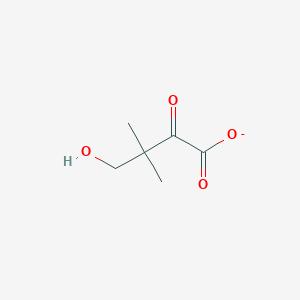 molecular formula C6H9O4- B1258270 4-羟基-3,3-二甲基-2-氧代丁酸酯 