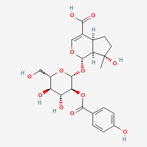 molecular formula C23H28O12 B1258287 (1S,4aS,7S,7aS)-1-[(2R,3S,4R,5R,6S)-4,5-dihydroxy-3-(4-hydroxybenzoyl)oxy-6-(hydroxymethyl)tetrahydropyran-2-yl]oxy-7-hydroxy-7-methyl-4a,5,6,7a-tetrahydro-1H-cyclopenta[c]pyran-4-carboxylic acid 