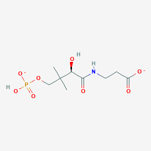 molecular formula C9H16NO8P-2 B1258292 (R)-4'-phosphopantothenate(2-) 