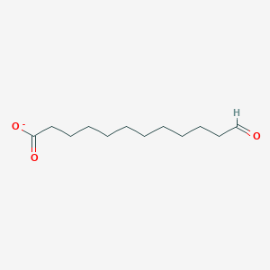 molecular formula C12H21O3- B1258333 12-Oxododecanoate 