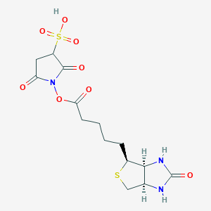 molecular formula C14H19N3O8S2 B1258347 2,5-Dioxo-1-((5-((3aS,4S,6aR)-2-oxohexahydro-1H-thieno[3,4-d]imidazol-4-yl)pentanoyl)oxy)pyrrolidine-3-sulfonic acid CAS No. 190598-55-1