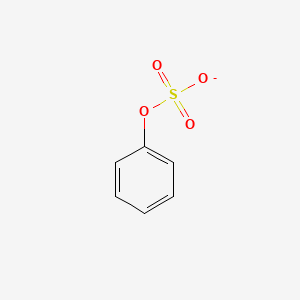 molecular formula C6H5O4S- B1258348 苯基硫酸盐 