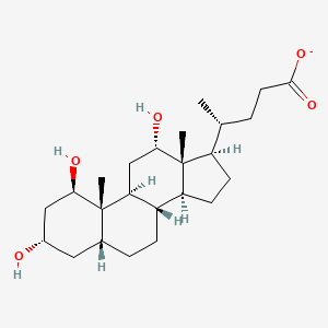 molecular formula C24H39O5- B1258474 1beta-Hydroxydeoxycholate 