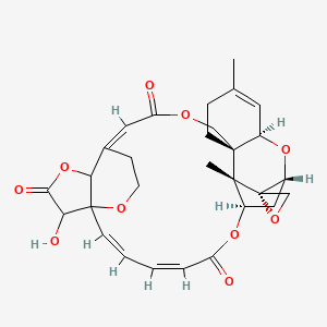 molecular formula C29H32O10 B1258489 2',3'-Deoxyroritoxin D 