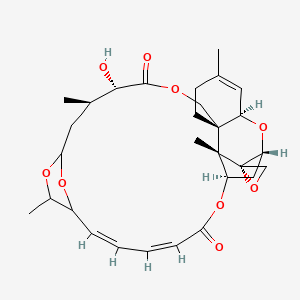 molecular formula C29H38O9 B1258503 Roridin R 