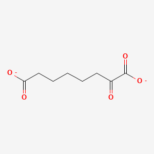 molecular formula C8H10O5-2 B1258549 α-酮戊二酸 