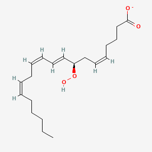 molecular formula C20H31O4- B1258550 (5Z,8R,9E,11Z,14Z)-8-hydroperoxyicosa-5,9,11,14-tetraenoate 