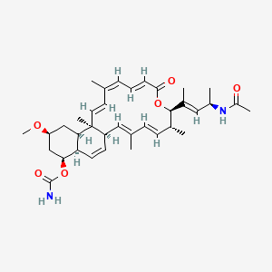 molecular formula C36H50N2O6 B1258558 [(1R,2E,4E,6R,7R,10E,12Z,14E,16R,17R,19S,21S,22R)-7-[(E,4R)-4-acetamidopent-2-en-2-yl]-19-methoxy-3,6,13,16-tetramethyl-9-oxo-8-oxatricyclo[14.8.0.017,22]tetracosa-2,4,10,12,14,23-hexaen-21-yl] carbamate 