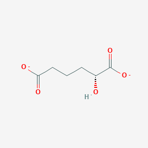 molecular formula C6H8O5-2 B1258563 (R)-2-hydroxyadipate(2-) 