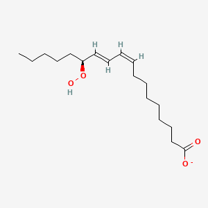 molecular formula C18H31O4- B1258567 13(S)-Hpode(1-) 