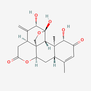 molecular formula C20H24O7 B1258774 (1S,4S,5S,7S,11R,13S,17S,18S,19R)-4,5,17-trihydroxy-14,18-dimethyl-6-methylidene-3,10-dioxapentacyclo[9.8.0.01,7.04,19.013,18]nonadec-14-ene-9,16-dione 
