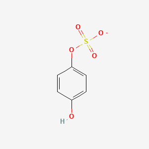 Hydroquinone sulfate