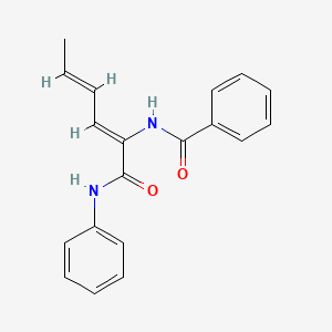 molecular formula C19H18N2O2 B12588631 N-[(2Z,4E)-1-Anilino-1-oxo-2,4-hexadien-2-yl]benzamide 