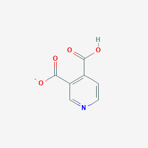 molecular formula C7H4NO4- B1258865 3-Carboxypyridine-4-carboxylate 
