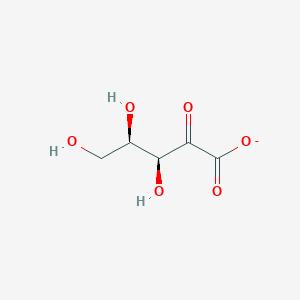molecular formula C5H7O6- B1258868 2-脱氢-D-木糖酸 