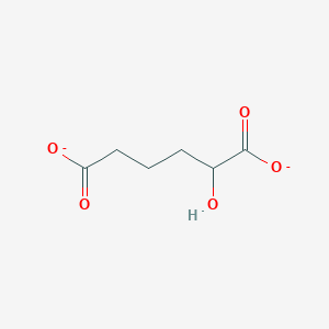 molecular formula C6H8O5-2 B1258922 2-Hydroxyadipate(2-) 